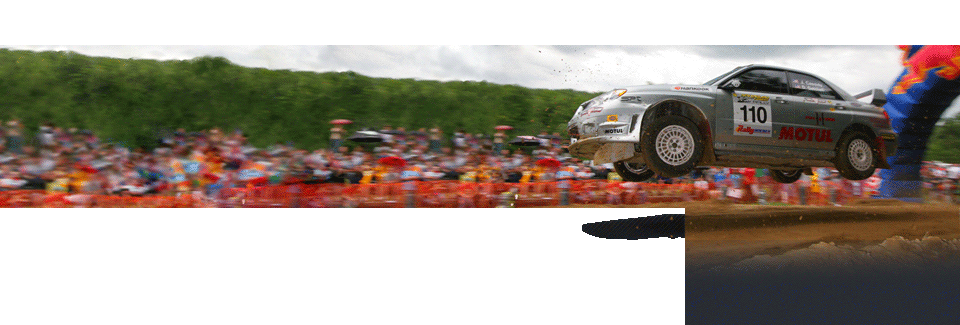 Banner Picture
